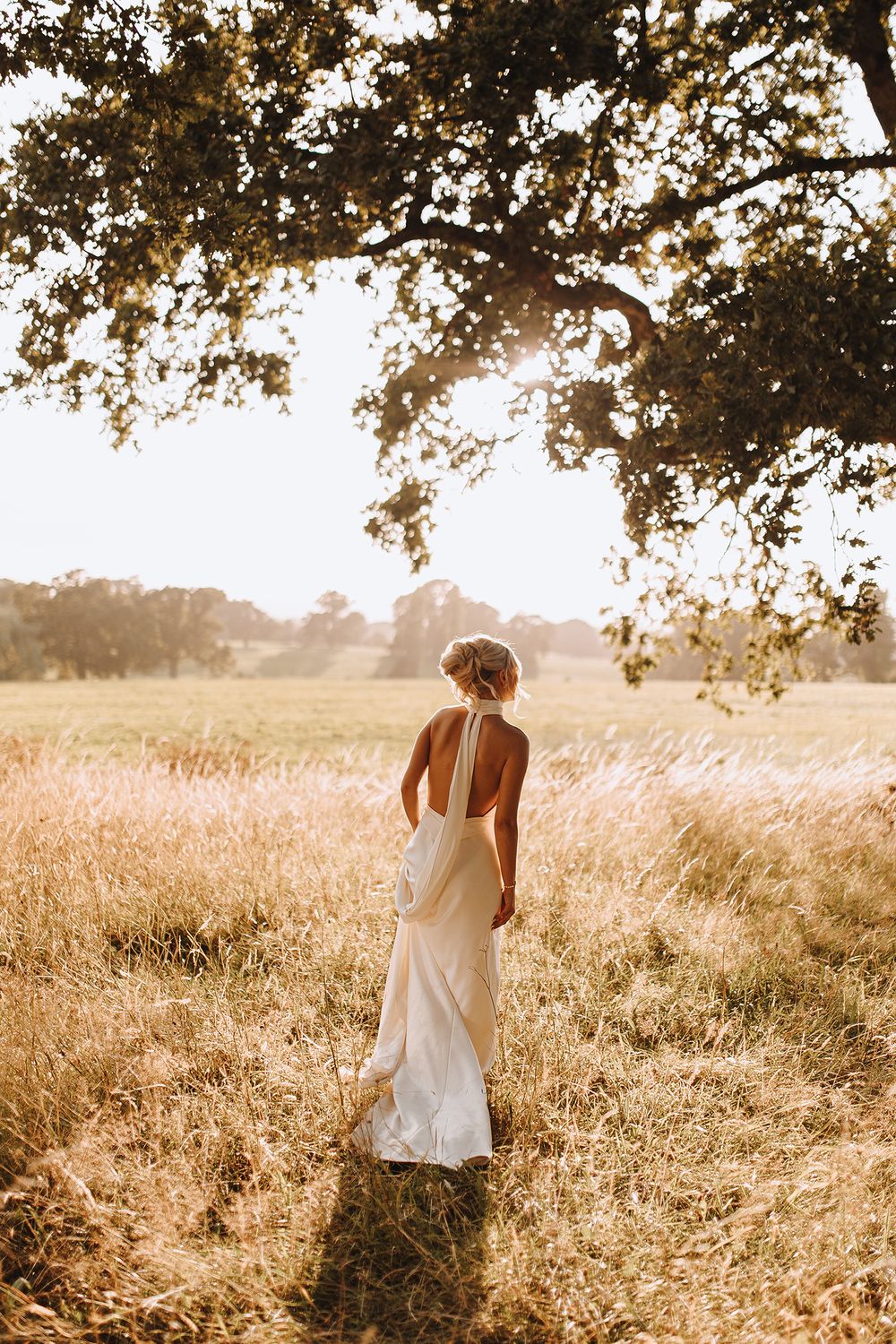 A dreamy golden-hour photo in a sun-drenched field with tall grass and tree silhouettes.