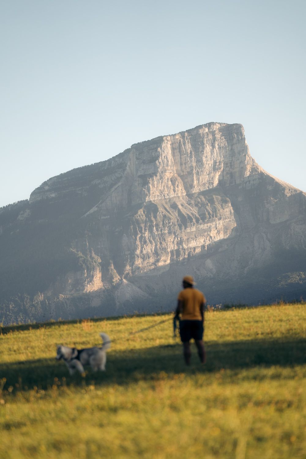 balade avec un chien devant le mont granier à chambéry