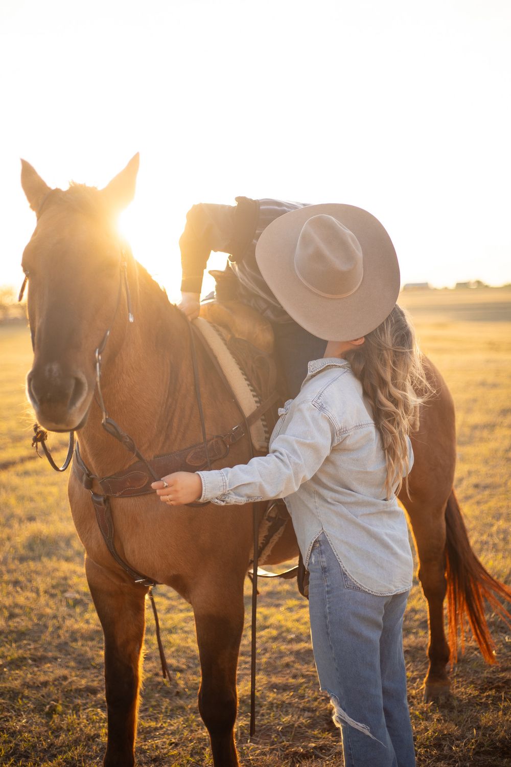 Cowboy adjusting saddle on brown horse during golden sunset in grassy field.