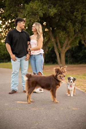 A couple takes their two dogs for a walk on a path surrounded by green trees during golden hour.