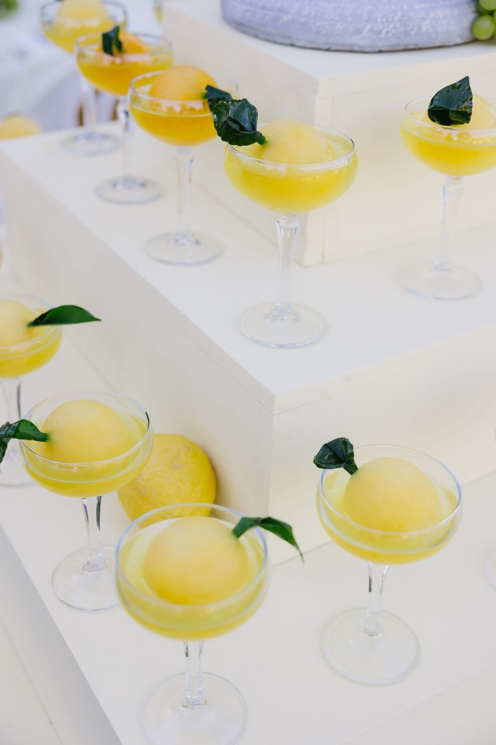 Multiple coupe glasses filled with bright yellow cocktails garnished with fresh green leaves on a white surface.