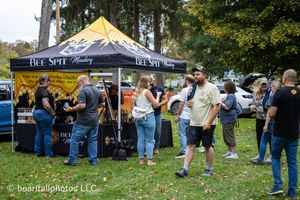 Festival attendees browsing vendor booths and tents on a grassy area during fall.