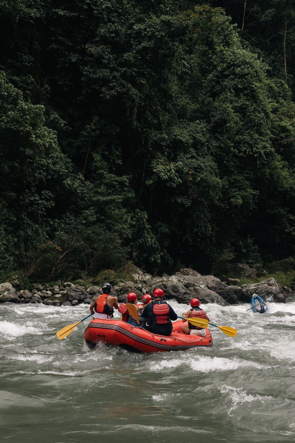 Whitewater rafters paddle through churning rapids in bright red inflatable boats.