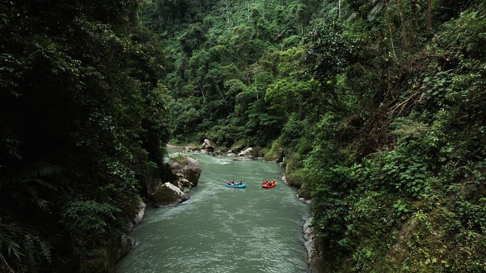Panoramic view of river gorge with dense forest and white water rapids.