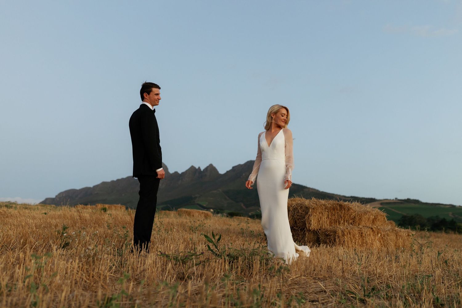 Wedding couple stands together in golden field at sunset with mountains in background, shown in multiple angles.