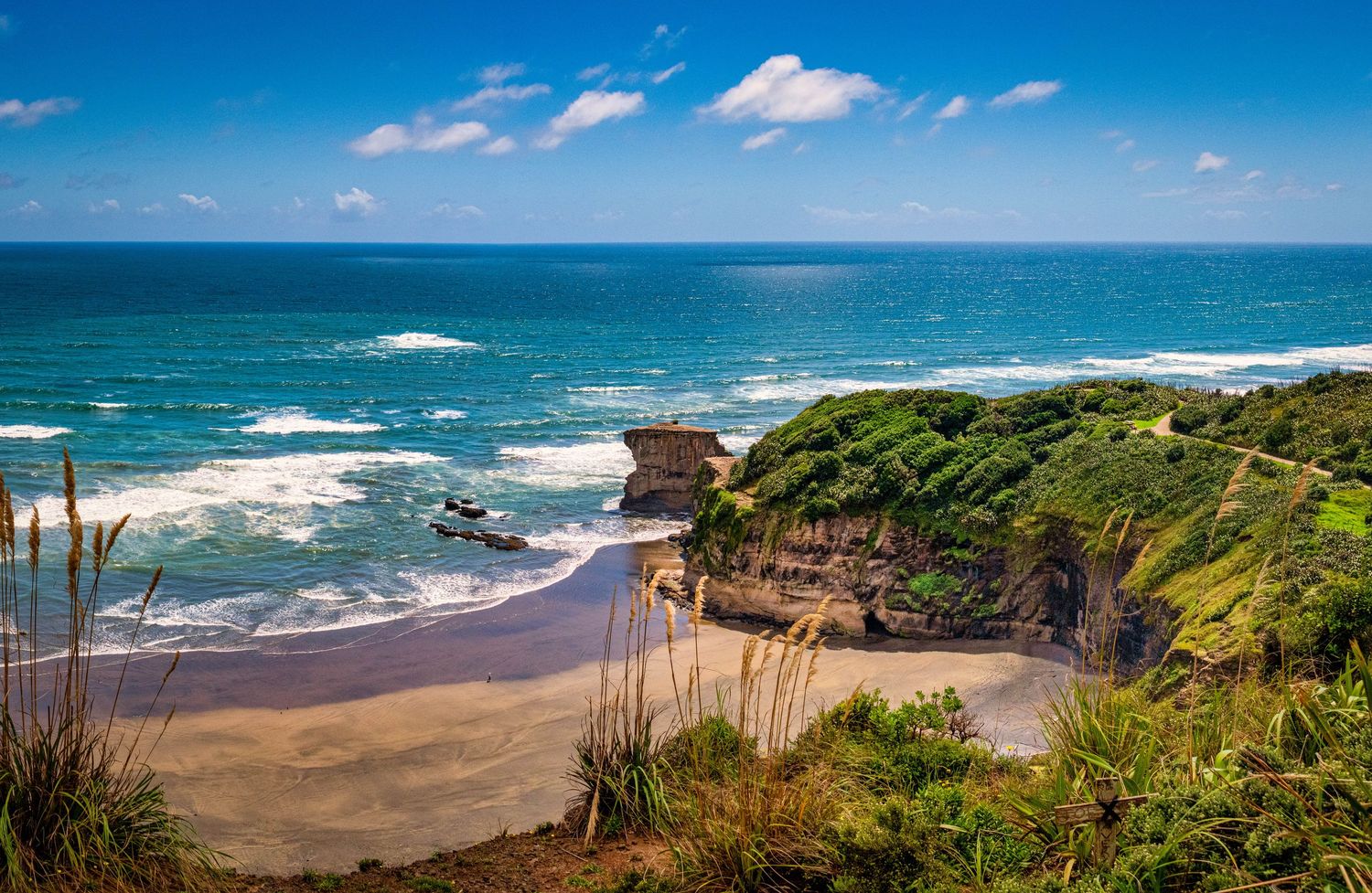 Panoramic view of rugged New Zealand coastline with turquoise ocean waters and lush green cliffs under blue sky.