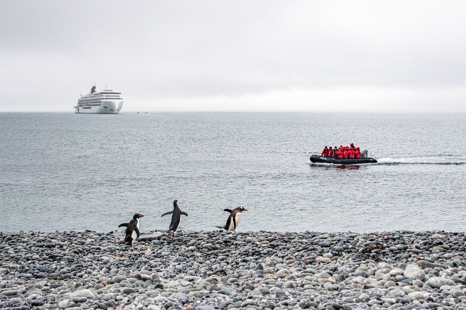 Tourists in bright red survival suits explore a rocky beach shore near a distant ship in foggy Arctic waters.