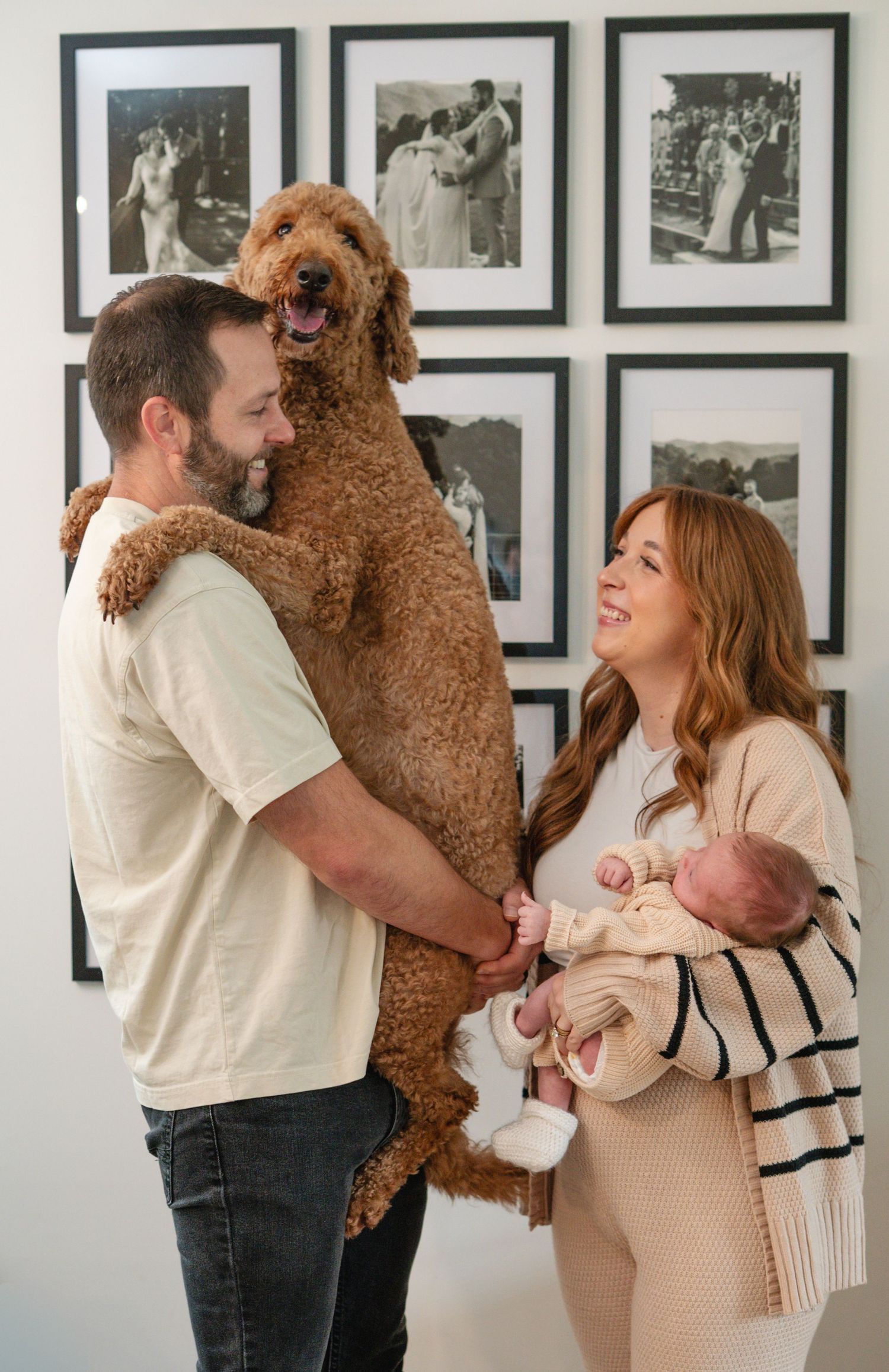 A couple stands with their large goldendoodle dog and newborn baby in front of black and white framed photos.