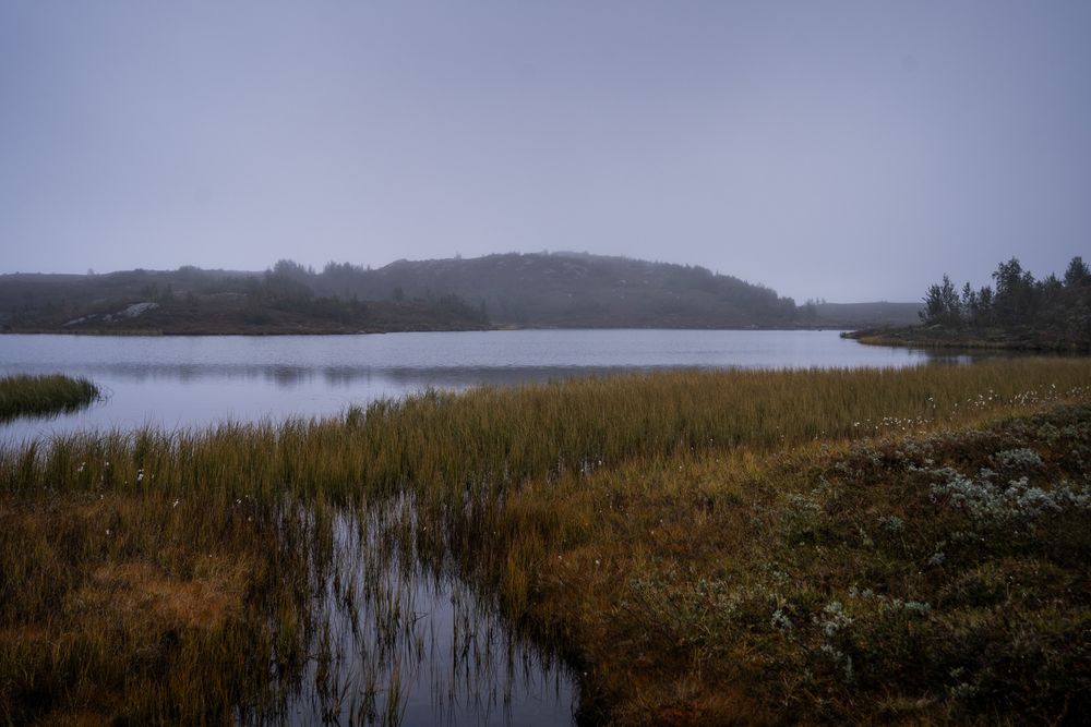 Ammarnäs, Aigert, Vindelfjällen, Fotograf Alison De Mars, fine art, landskap, fjällvandring