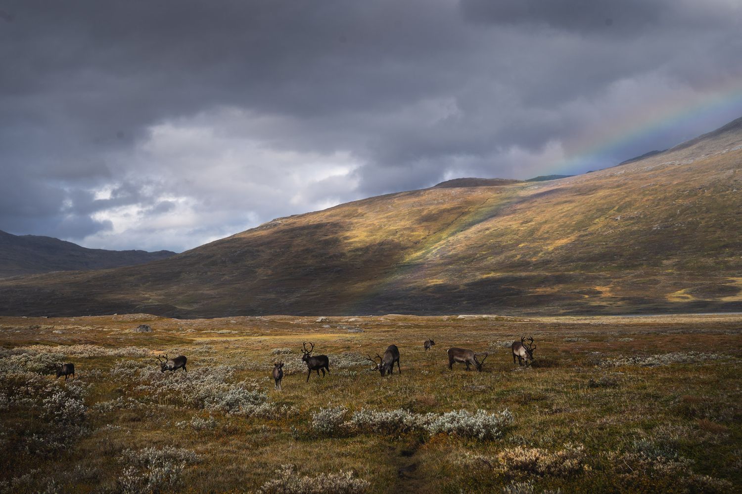 Padjelanta och Sulitjelma, Wanderlust, Alison De Mars, fotograf fine art