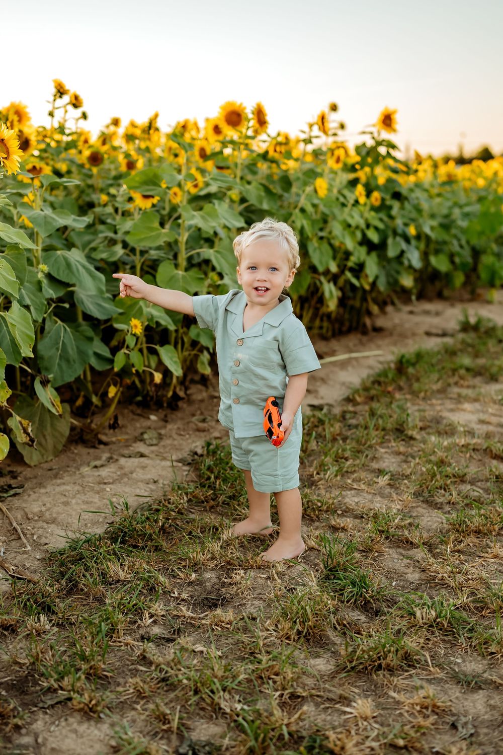 Playful child enjoys sunny evening in a blooming sunflower field wearing light blue clothing.