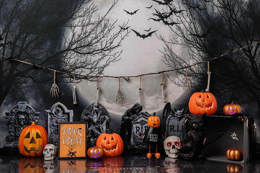 Halloween Photos in Wellington and Porirua