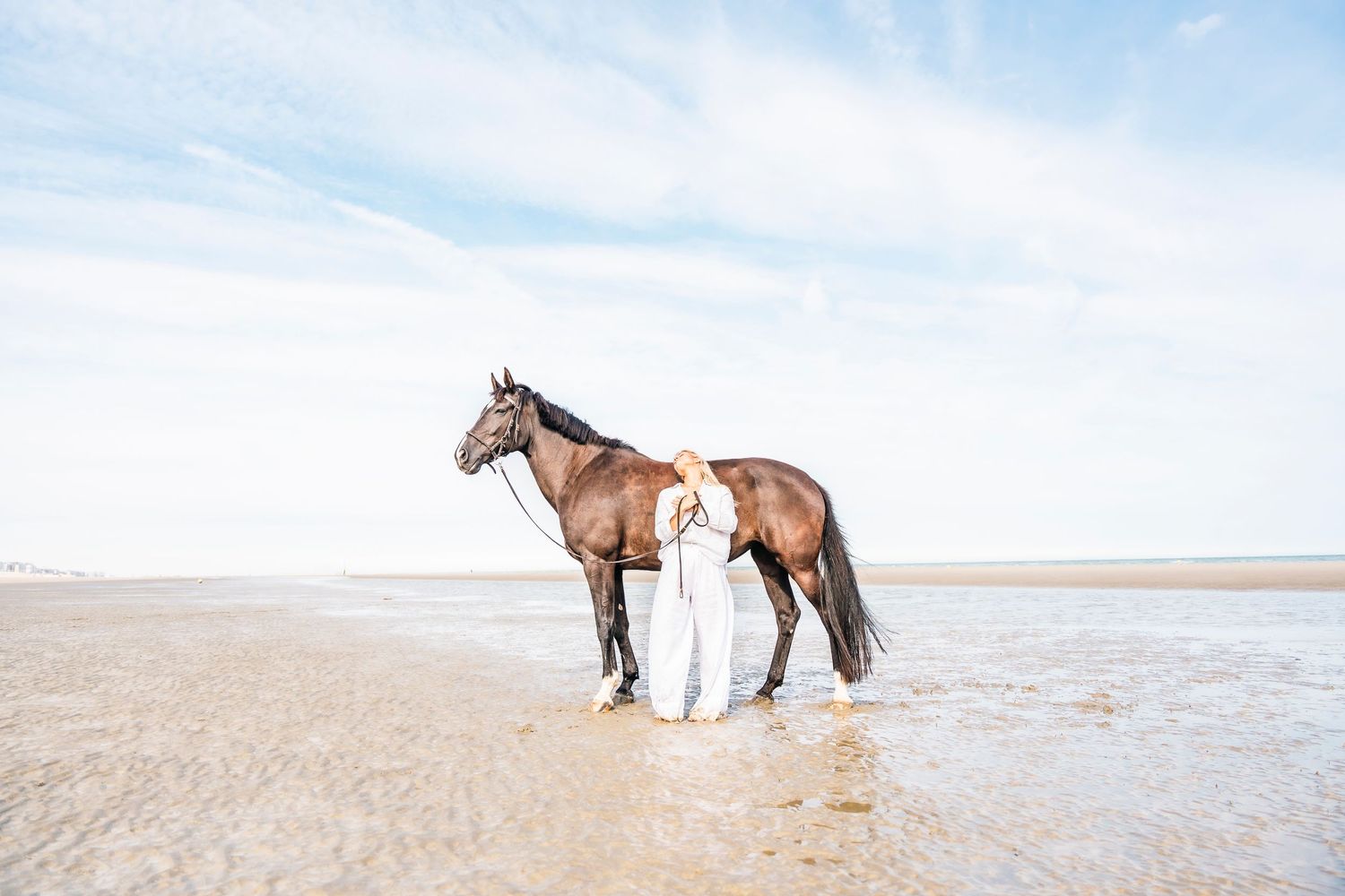 A bay horse stands majestically in shallow beach water against a bright sky.