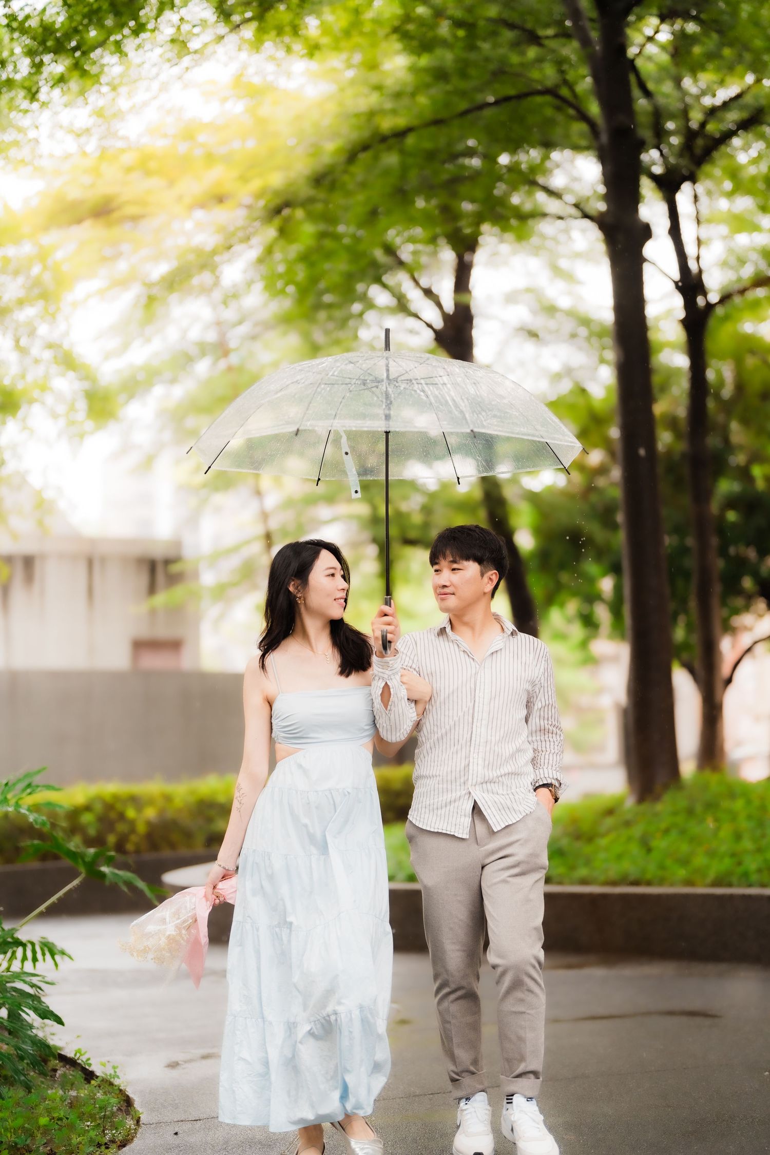 A romantic couple strolls under a clear umbrella along a tree-lined path on a misty spring day.