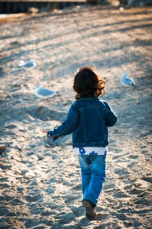 A small child runs on a sandy beach at sunset chasing seagulls.
