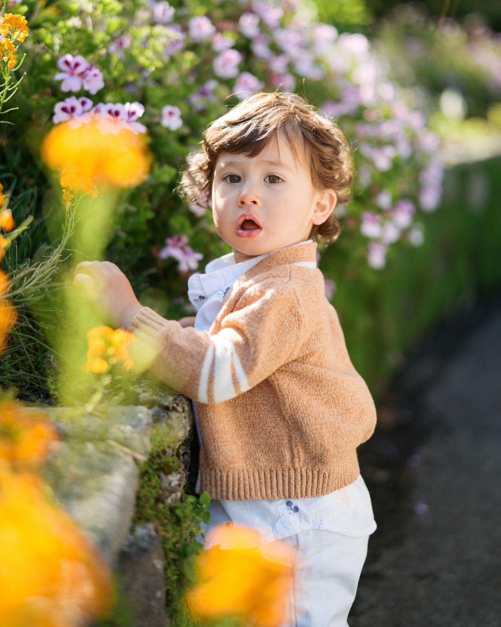 Toddler in brown sweater and white pants exploring colorful garden flowers on sunny day.