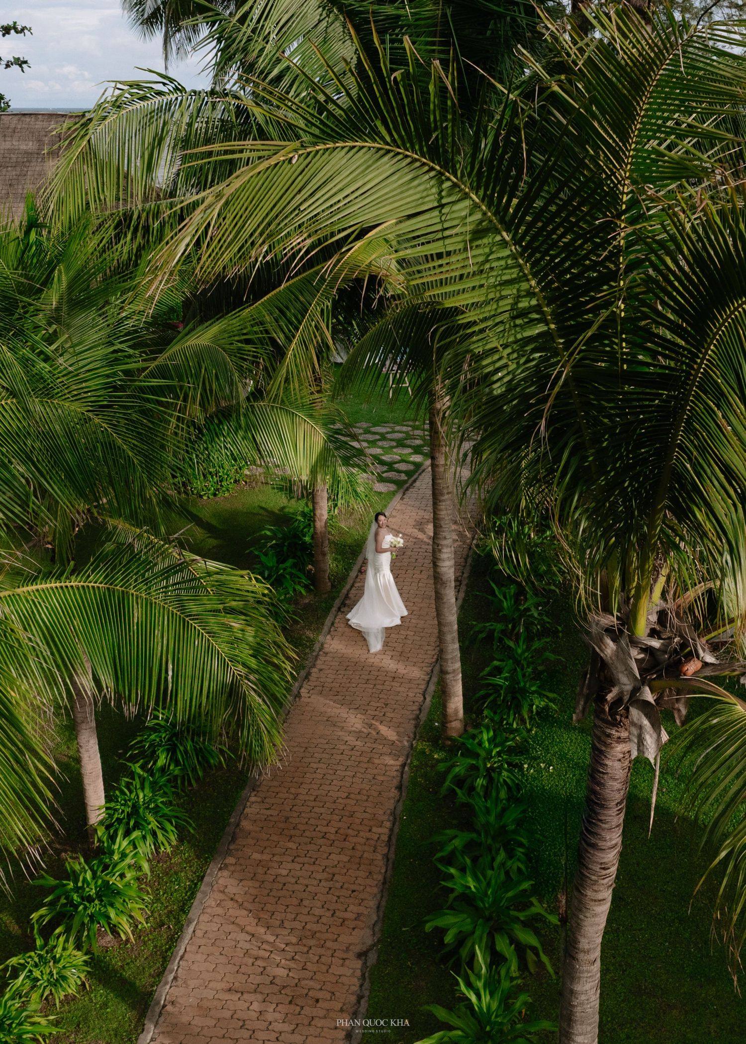 Aerial view of a bride in a white gown walking along a brick path surrounded by lush tropical palm trees.