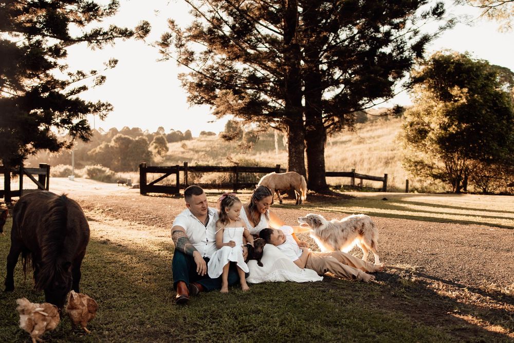 Family sitting together on farm lawn at golden hour surrounded by alpacas and farm animals.
