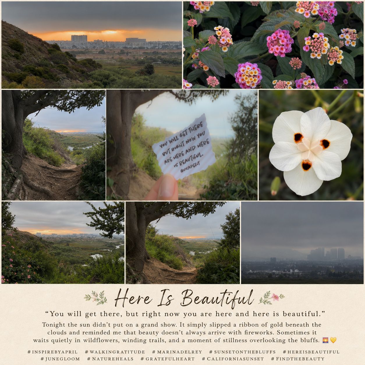 A nature-inspired collage featuring pink flowers, white blooms, rolling hills, and a motivational quote card reading Here Is Beautiful.
