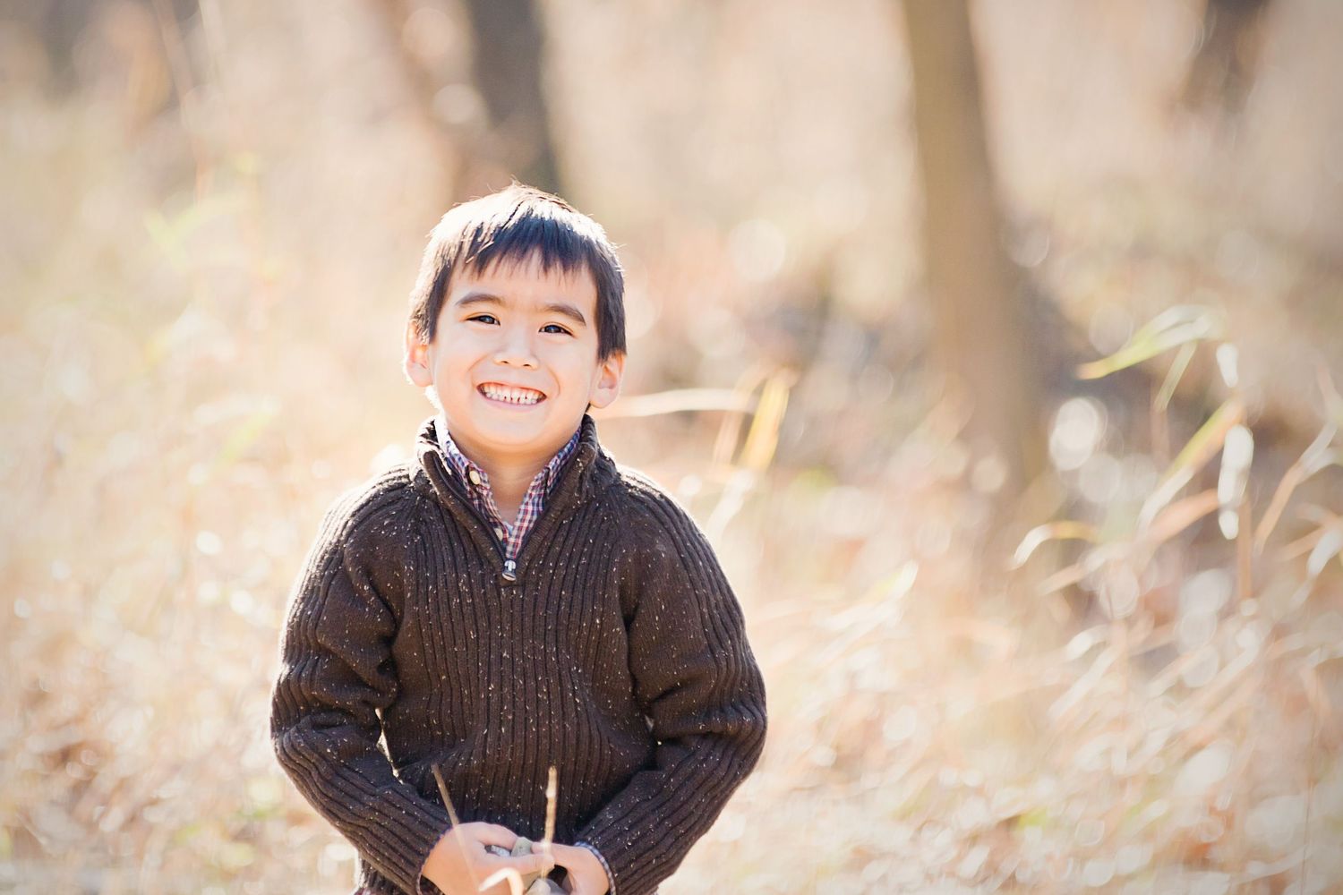 Child portrait in glowing field near Brighton & Howell, Michigan by South Lyon, Michigan family photographer