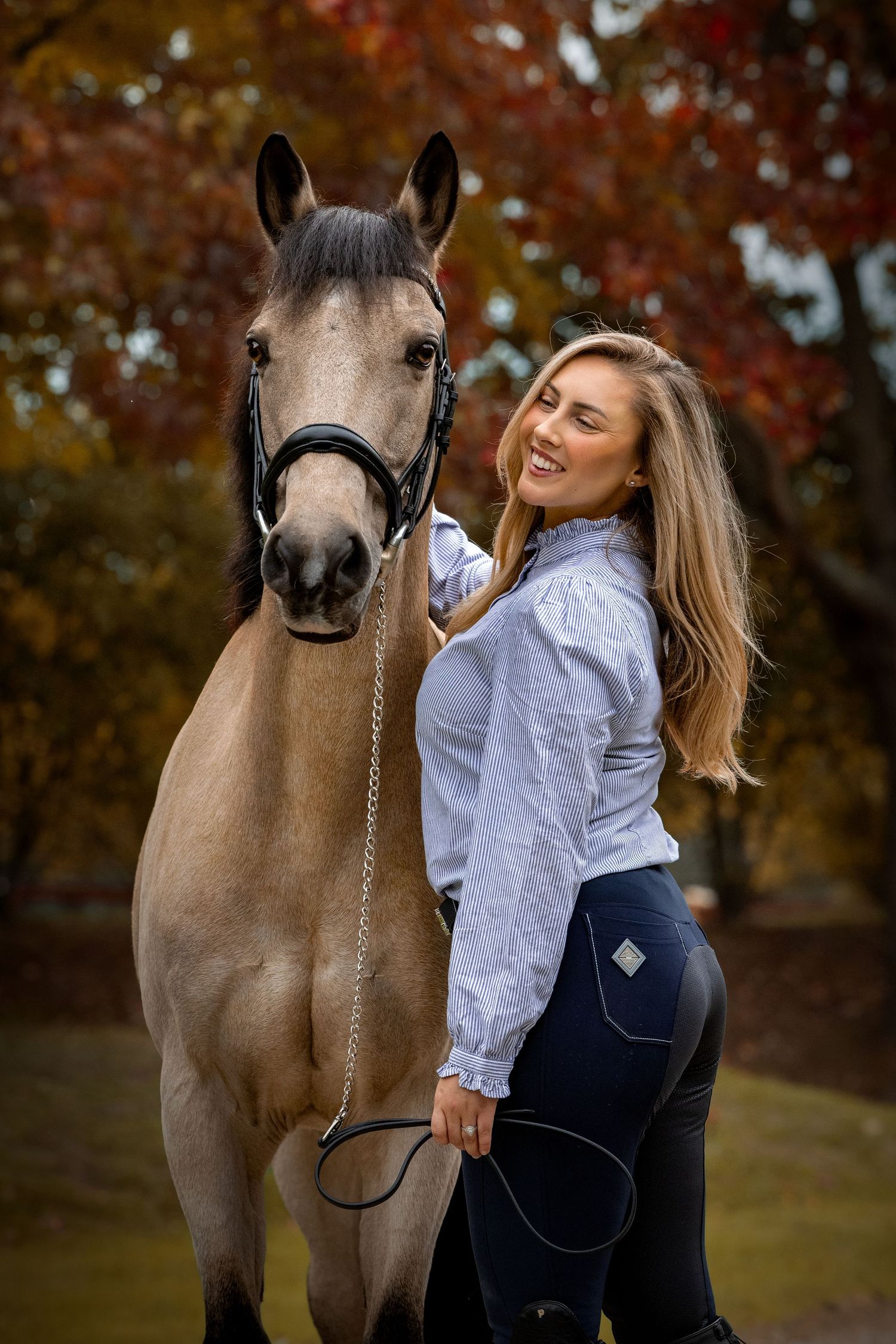 horse photography