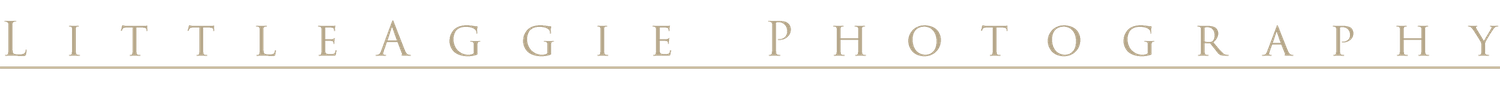 Simple gold text reading 'LITTLEAGGIE PHOTOGRAPHY' against transparent background.