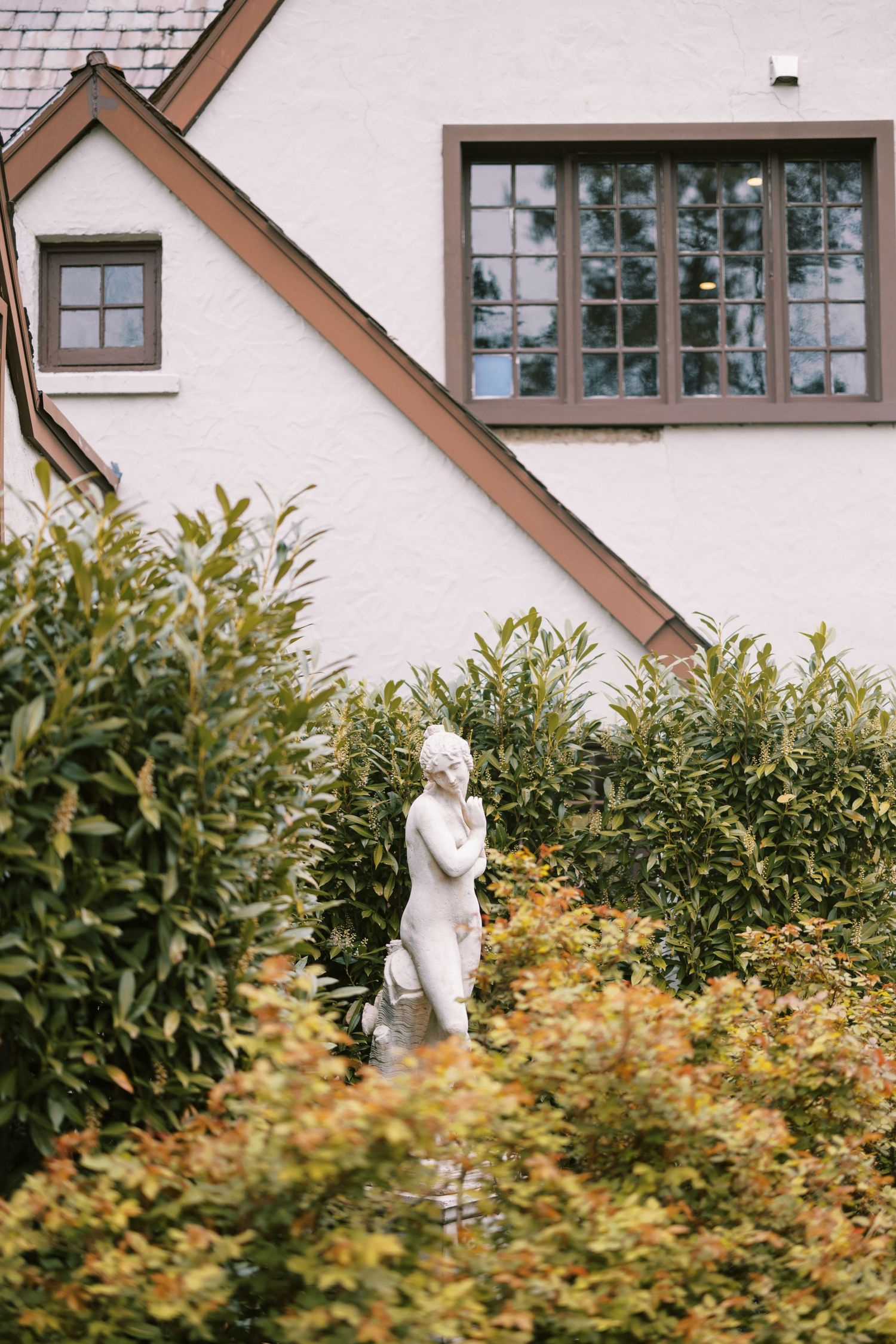 White cherub garden statue surrounded by lush green and yellow shrubs against a white Tudor-style home exterior.
