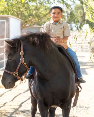 6 year old and Icelandic Horse Photoshoot at American Made Miniatures Farm Sanctuary