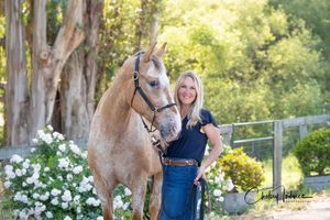 Barn-style equine portrait photographed in Petaluma, CA with Golden Gate Equestrian