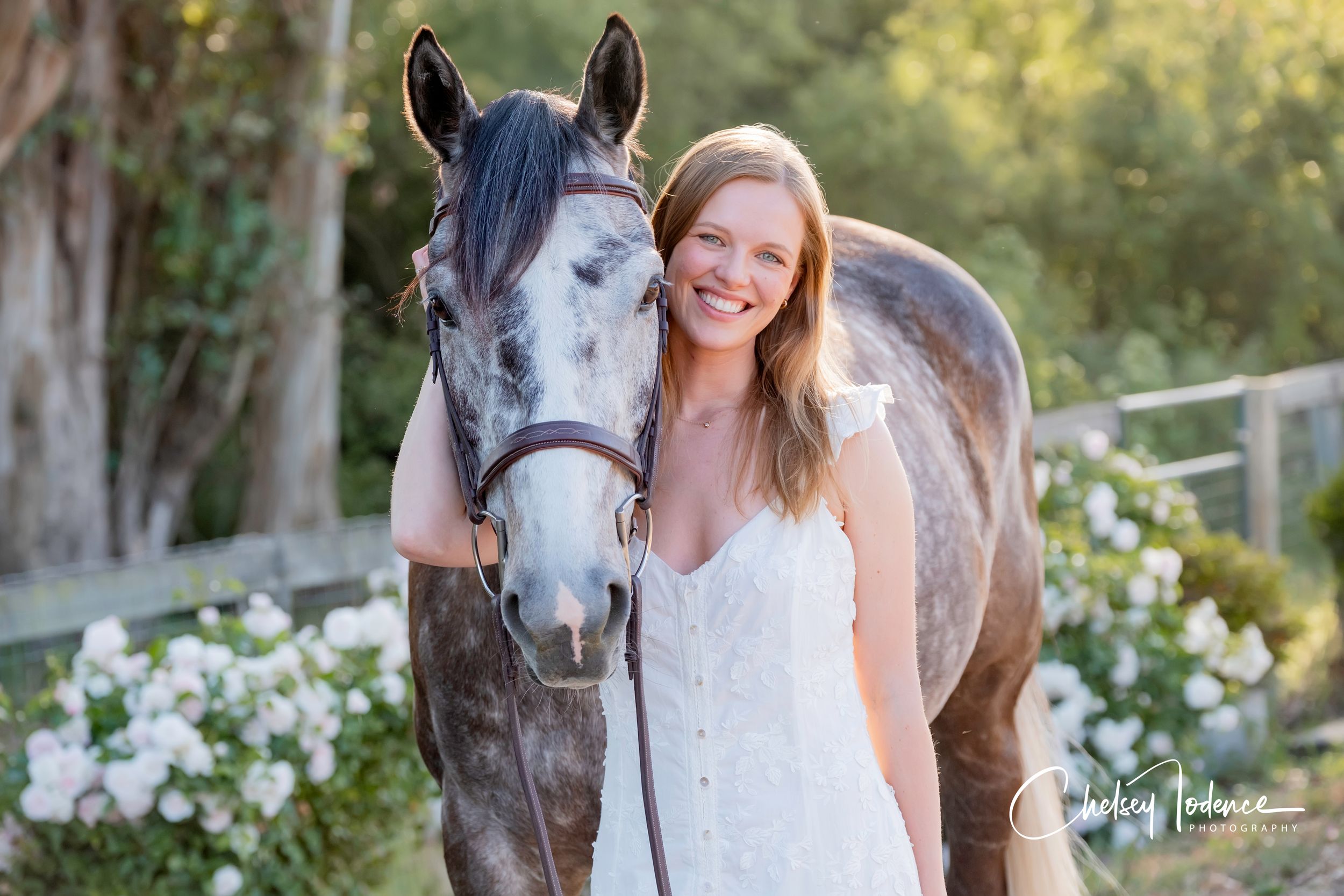 Equine portrait of a horse and owner sharing a quiet moment, photographed in Petaluma, CA