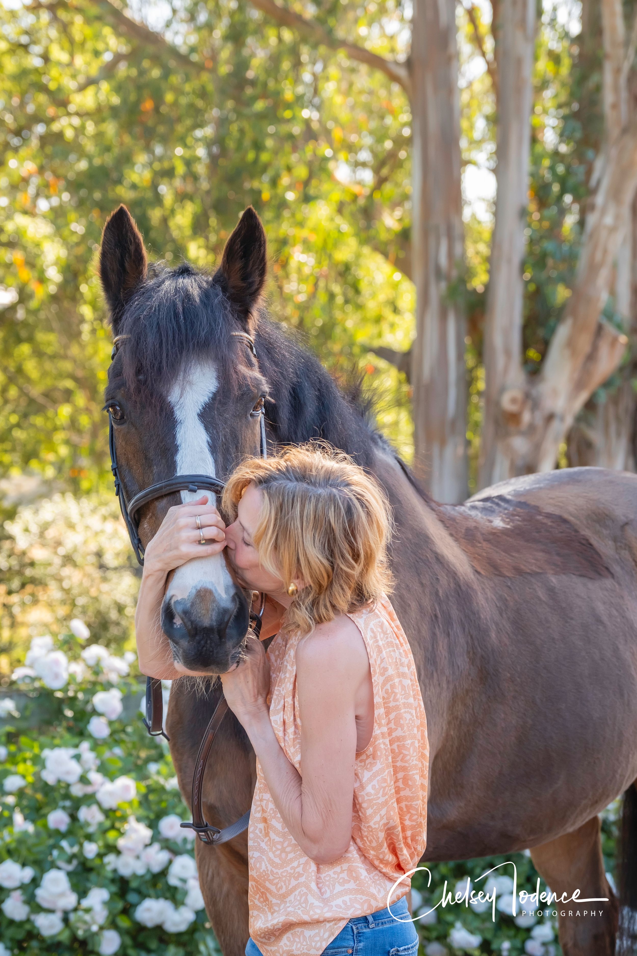 Outdoor equine portrait photographed in natural light in Petaluma, California at Melody Oak Farm