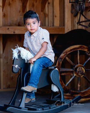 Fine art equine portrait of a boy and his rocking horse pony captured in Sonoma County, California