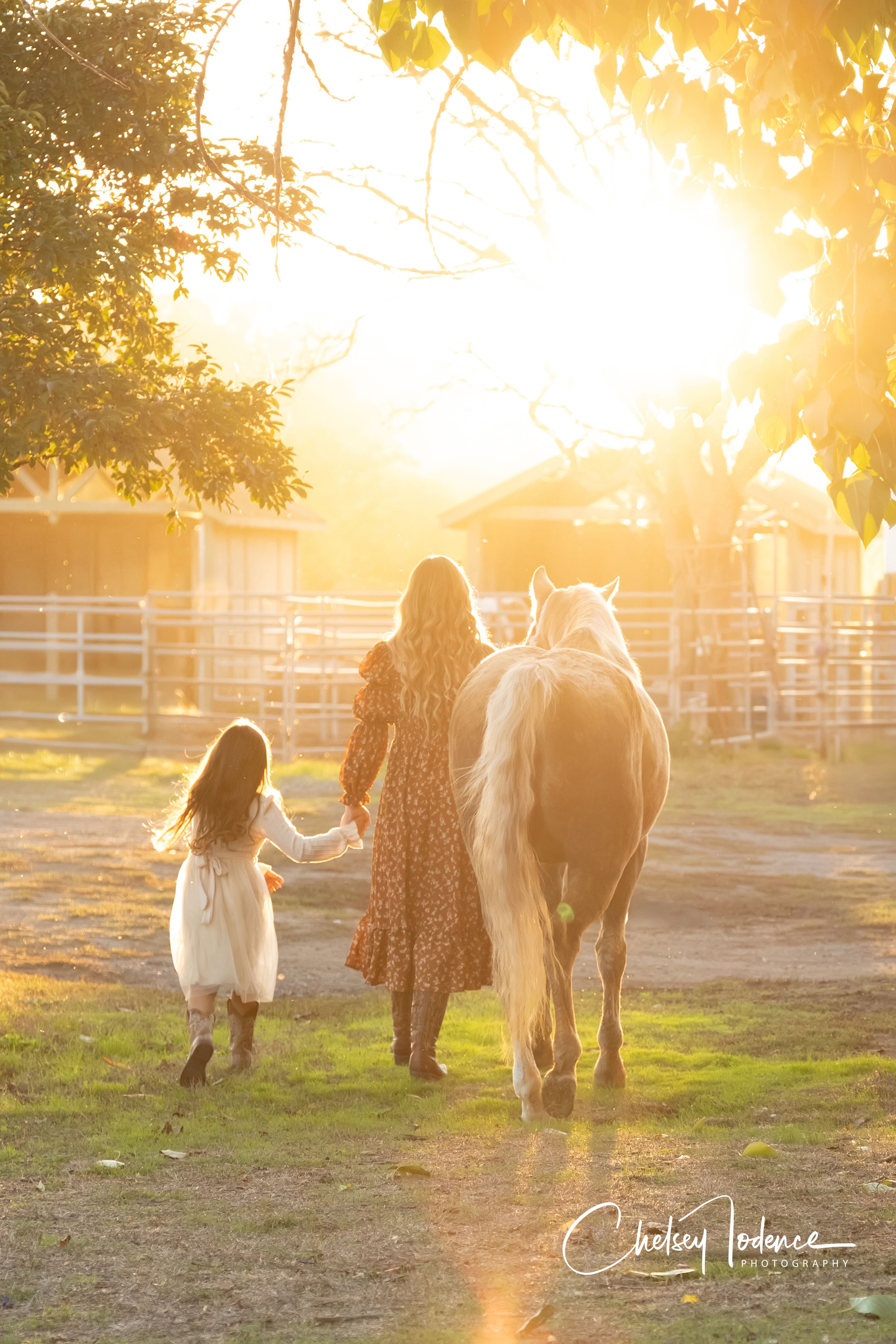 Equine portrait of a horse and owner sharing a quiet moment, photographed in Santa Rosa, CA
