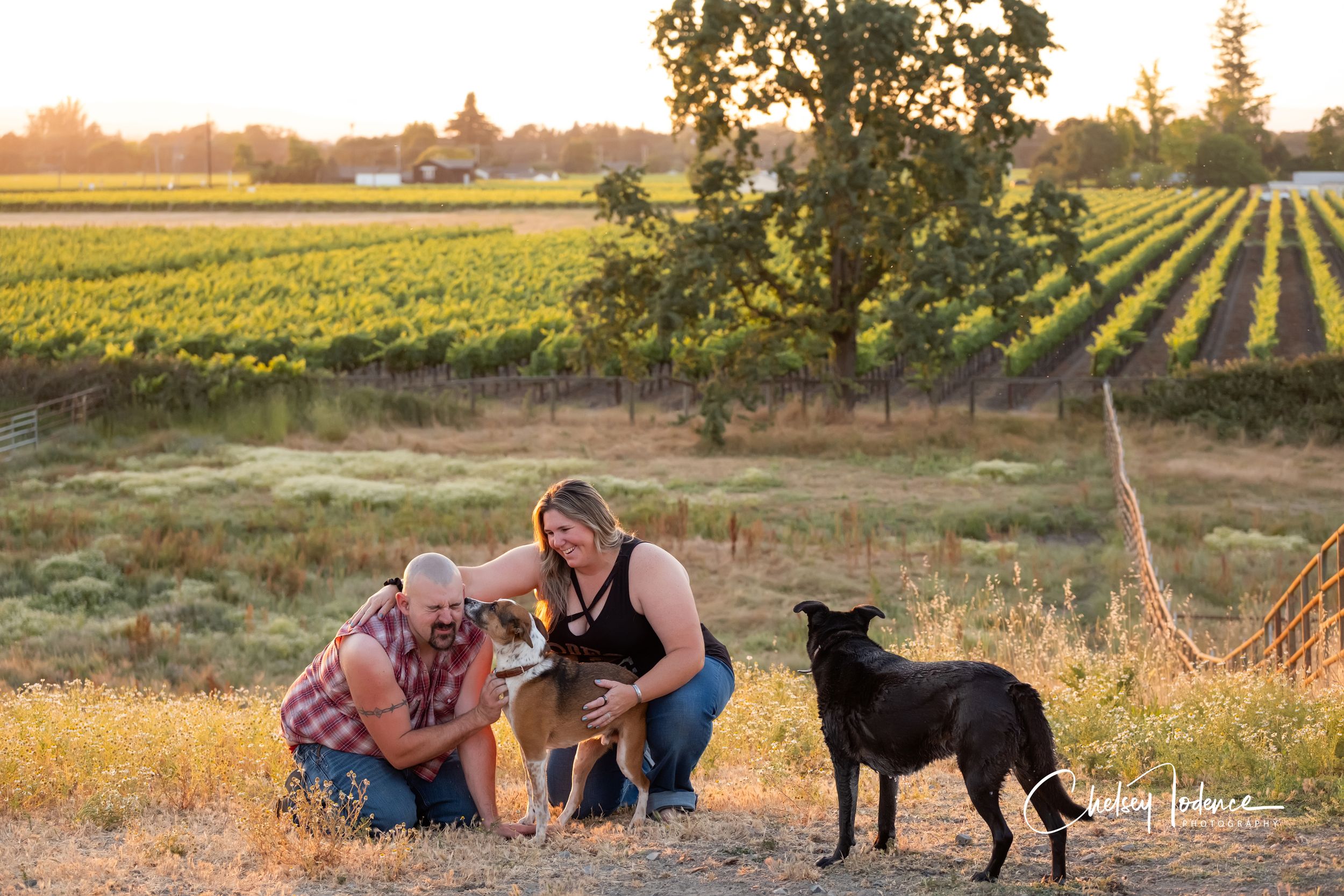 Ranch-style equine photography session captured in Sonoma County