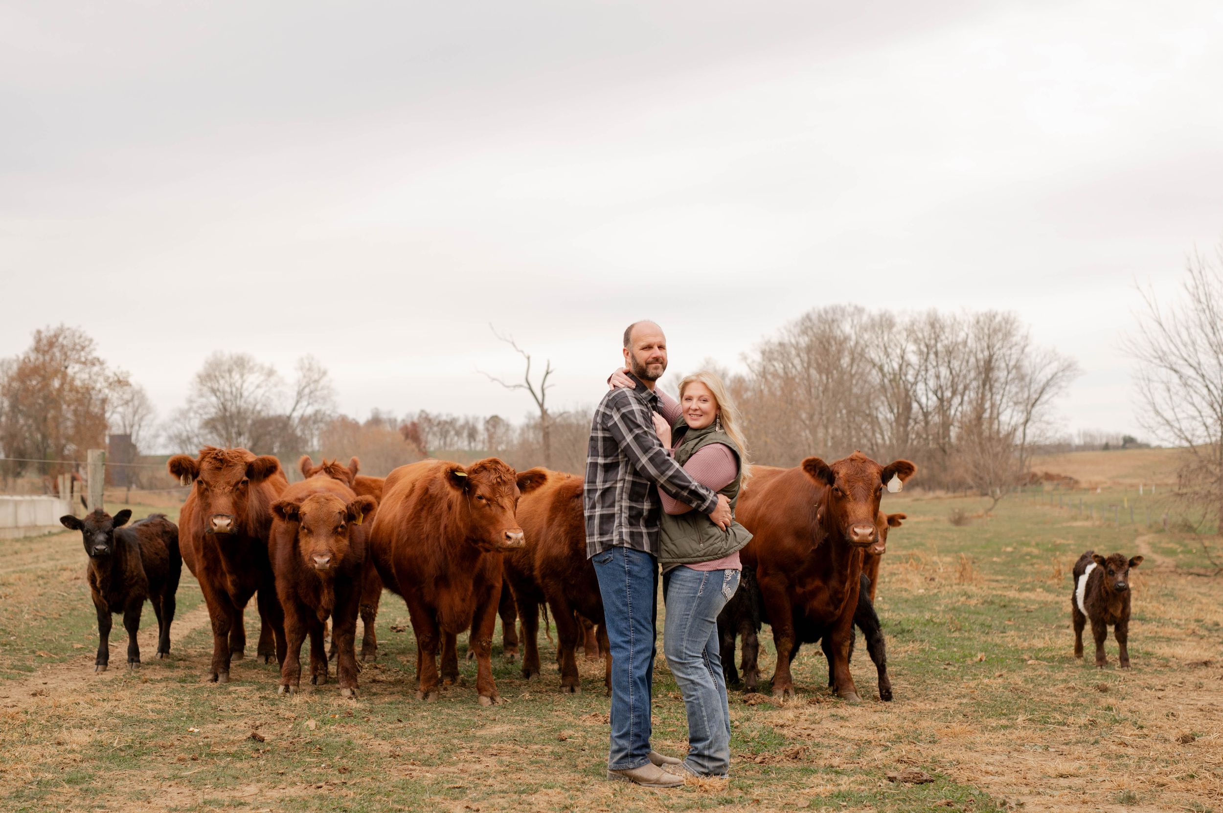 Couple standing together in field with herd of brown cattle behind them.