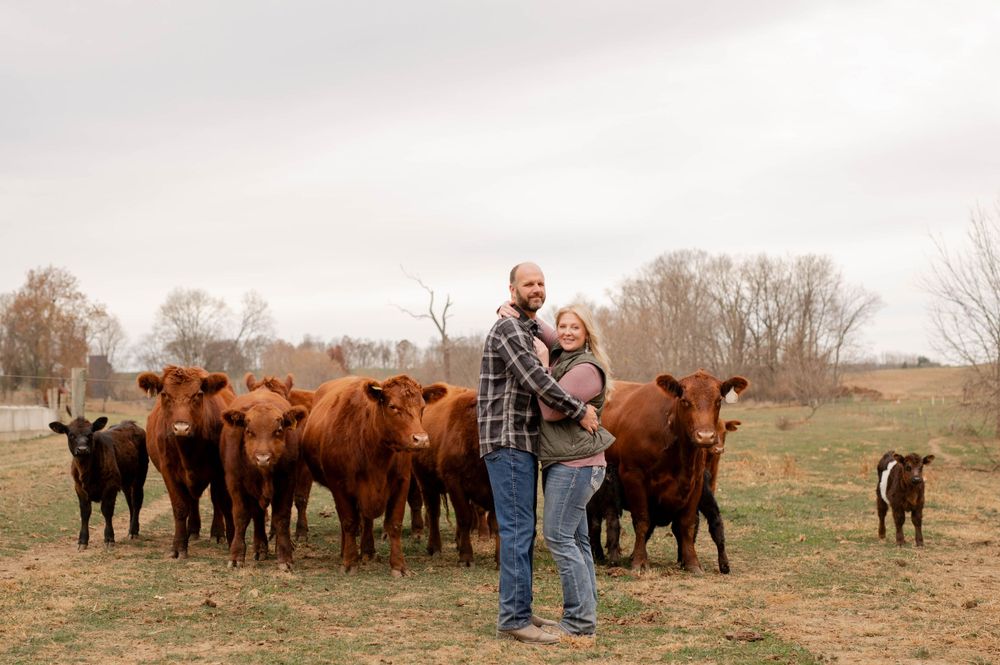 Couple standing together in field with herd of brown cattle behind them.