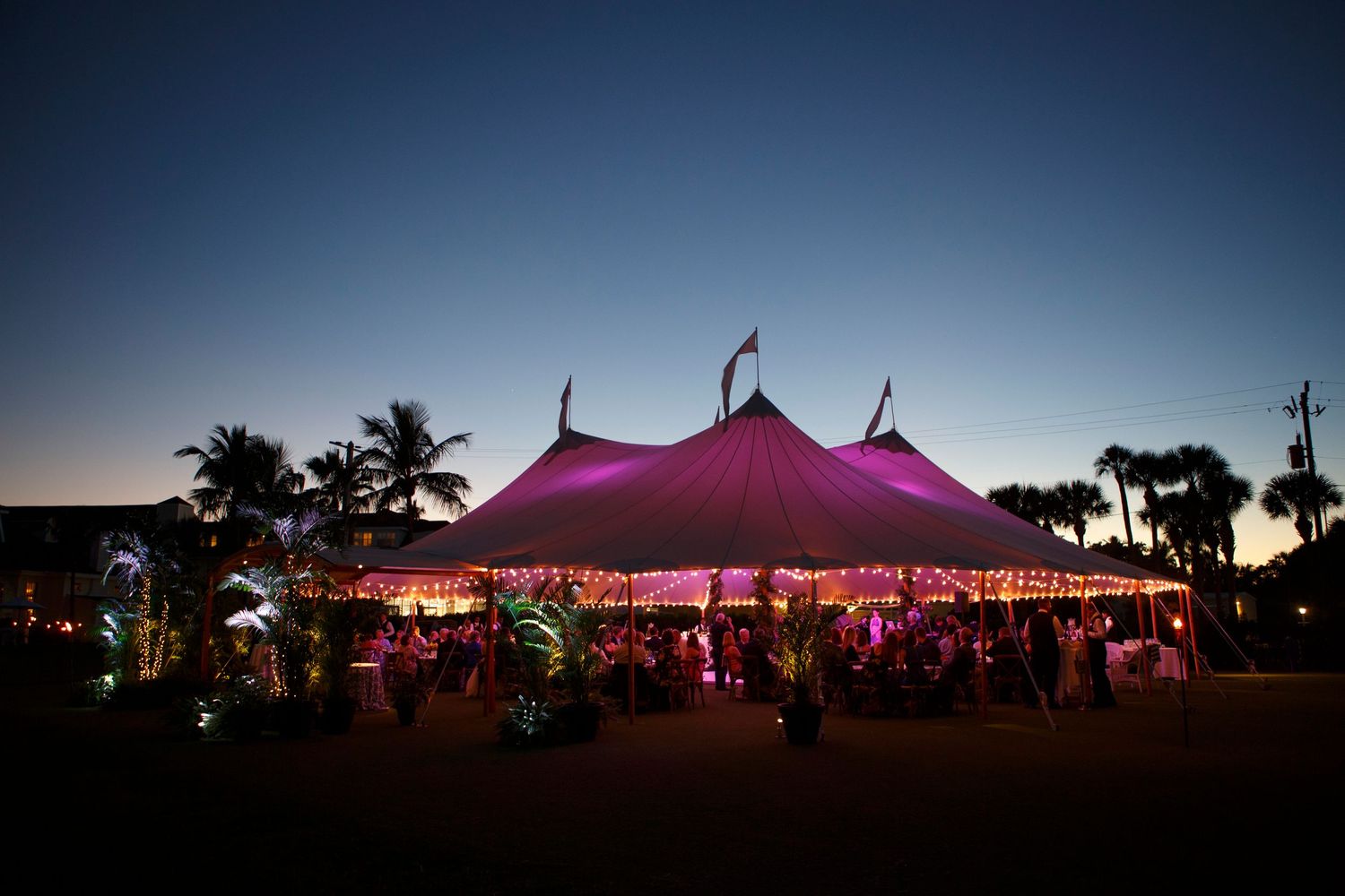 Illuminated pink reception tent glows at twilight surrounded by palm trees. Gasparilla Inn