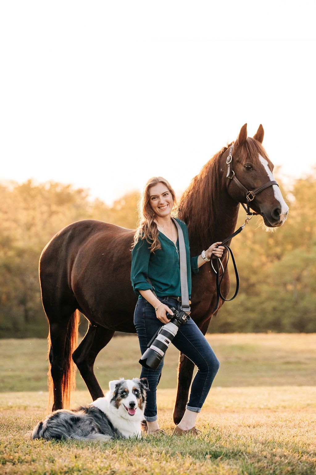 Portrait of a brown horse with an Australian Shepherd dog in golden sunset light.
