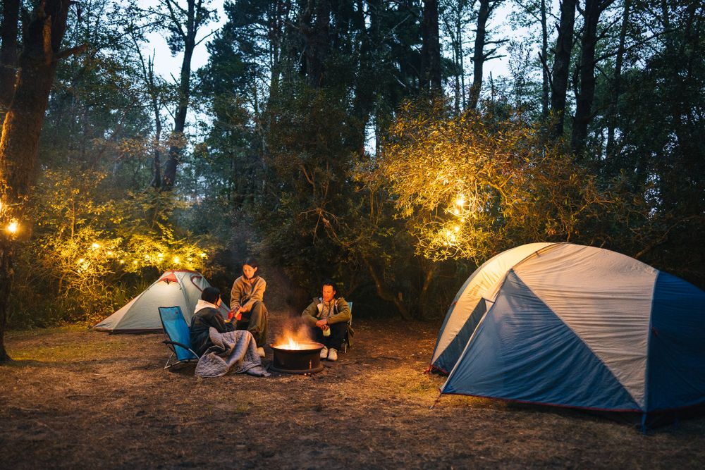 Campers gathered around a glowing campfire between two tents in a nighttime forest setting with ambient lighting.