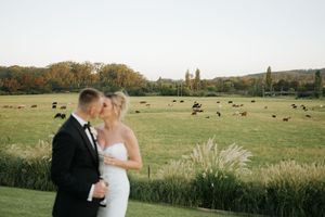 Bride and groom share a tender kiss with a scenic pastoral field of cattle in the background.