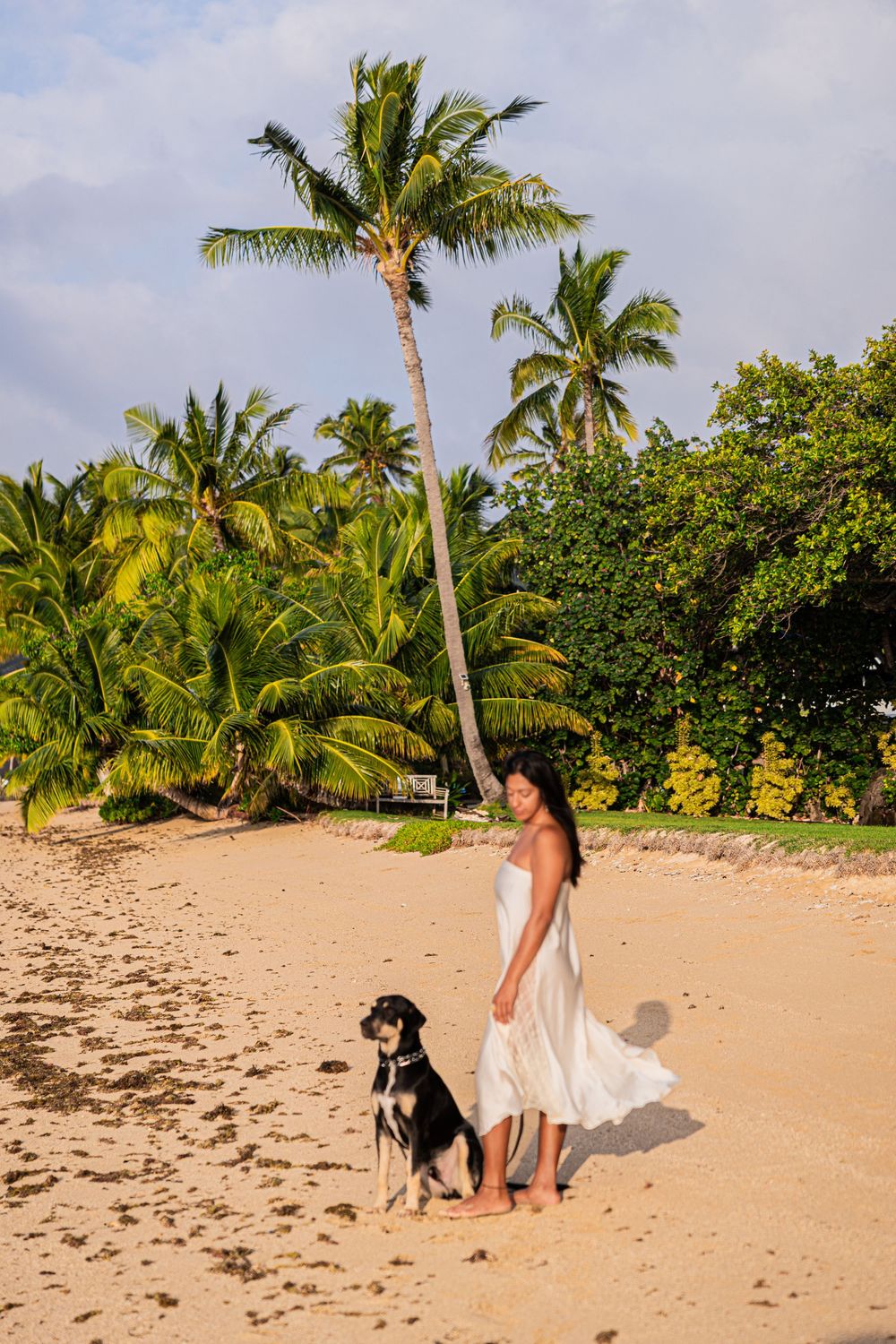 Woman in white dress stands with black dog on tropical beach surrounded by tall palm trees.