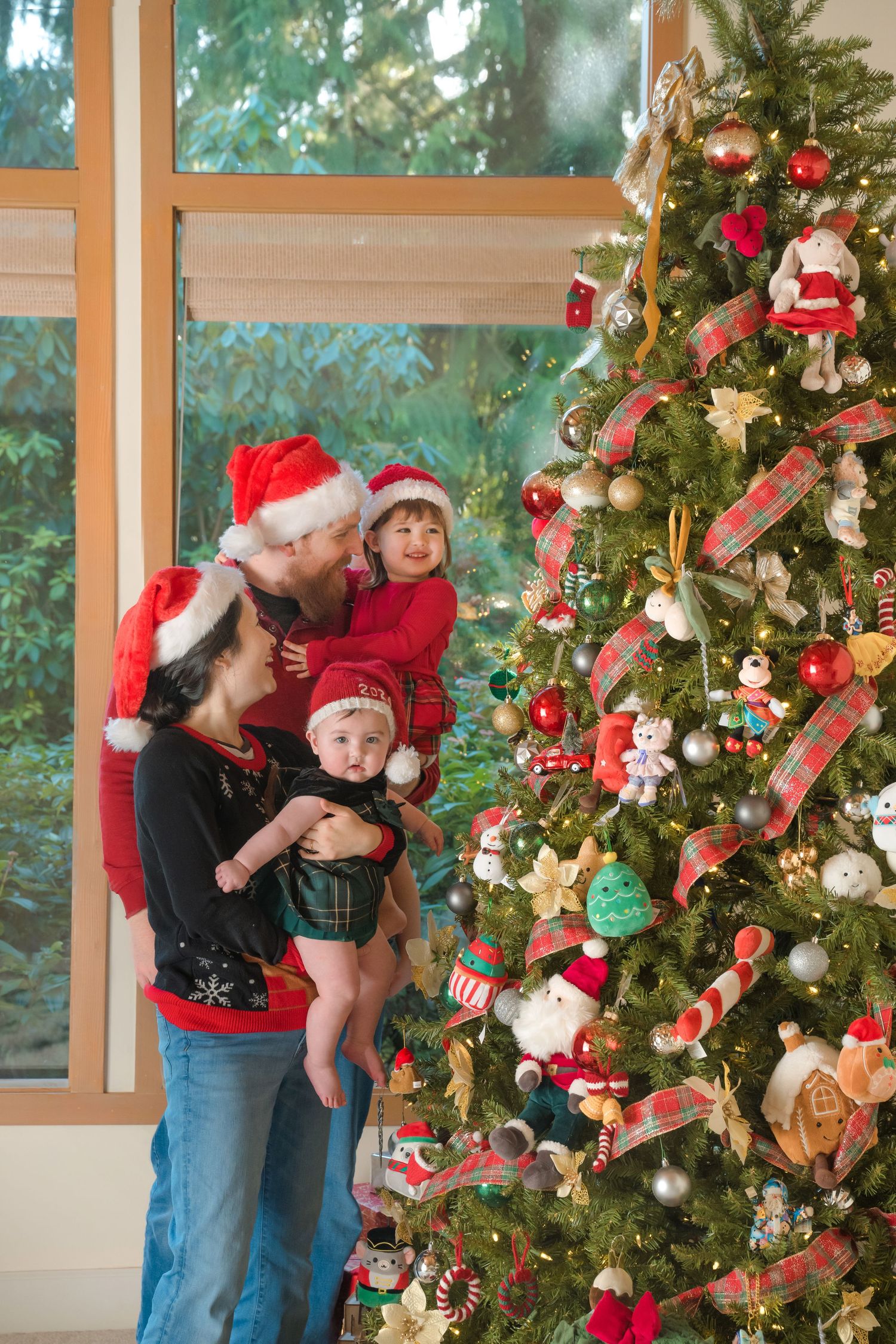 Seattle & Bellevue Newborn & Family Photographer, newborn ,redmond, mercer island, issaquah, sammamish, bothell, eastside, christmas