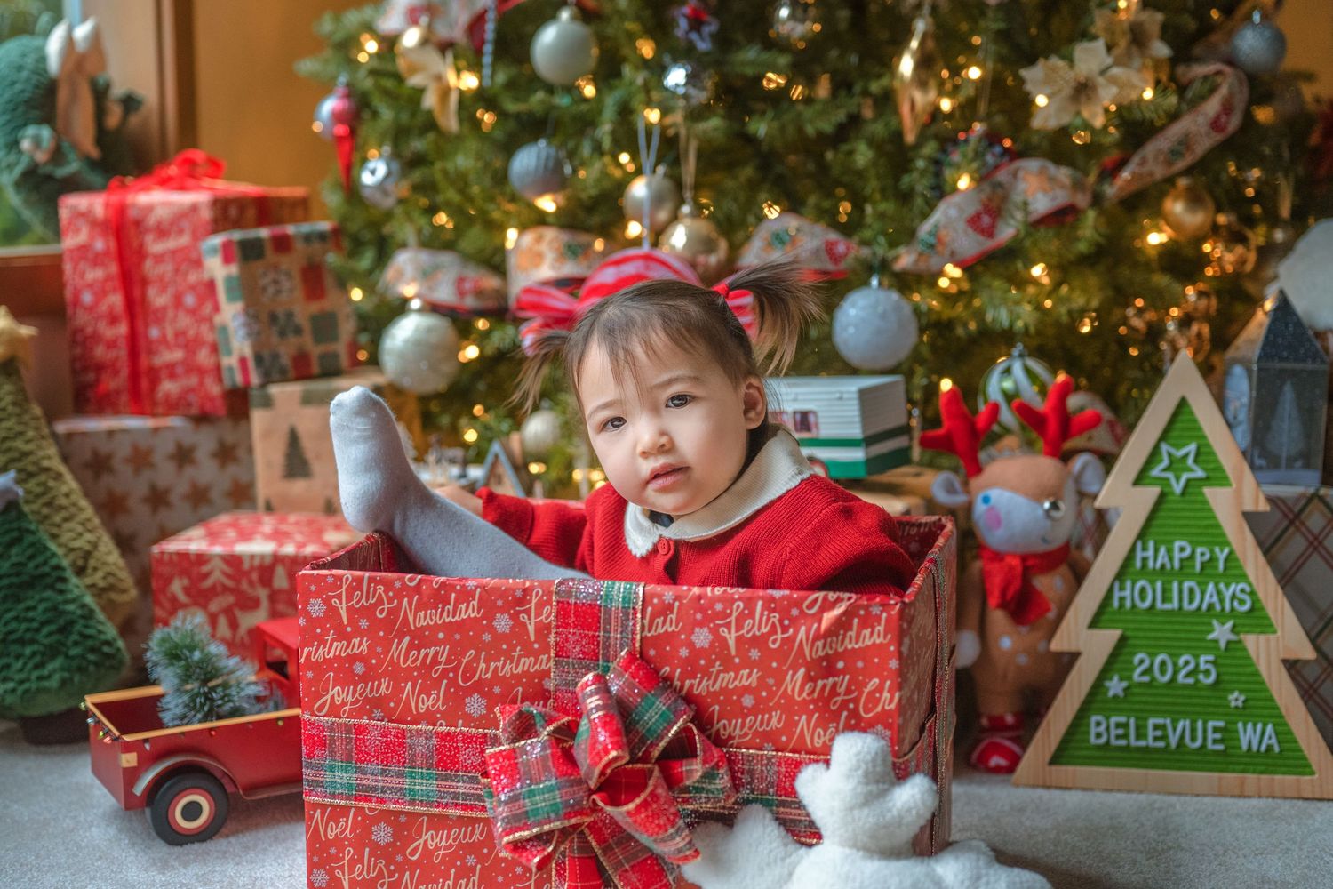 Seattle & Bellevue Newborn & Family Photographer, newborn ,redmond, mercer island, issaquah, sammamish, bothell, eastside, christmas