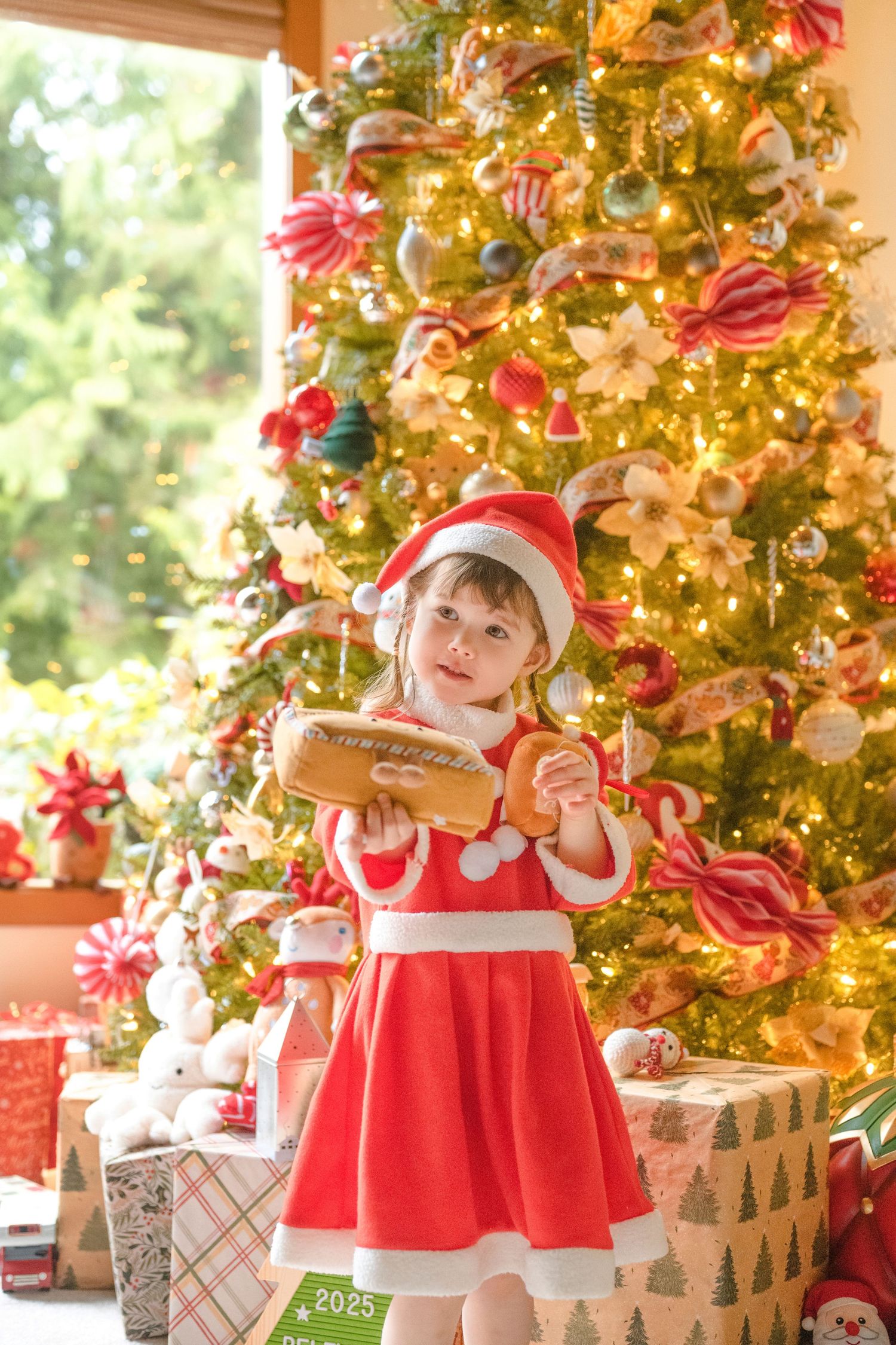 Seattle & Bellevue Newborn & Family Photographer, newborn ,redmond, mercer island, issaquah, sammamish, bothell, eastside, christmas