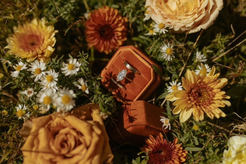 Diamond engagement ring in a velvet box surrounded by colorful autumn flowers.