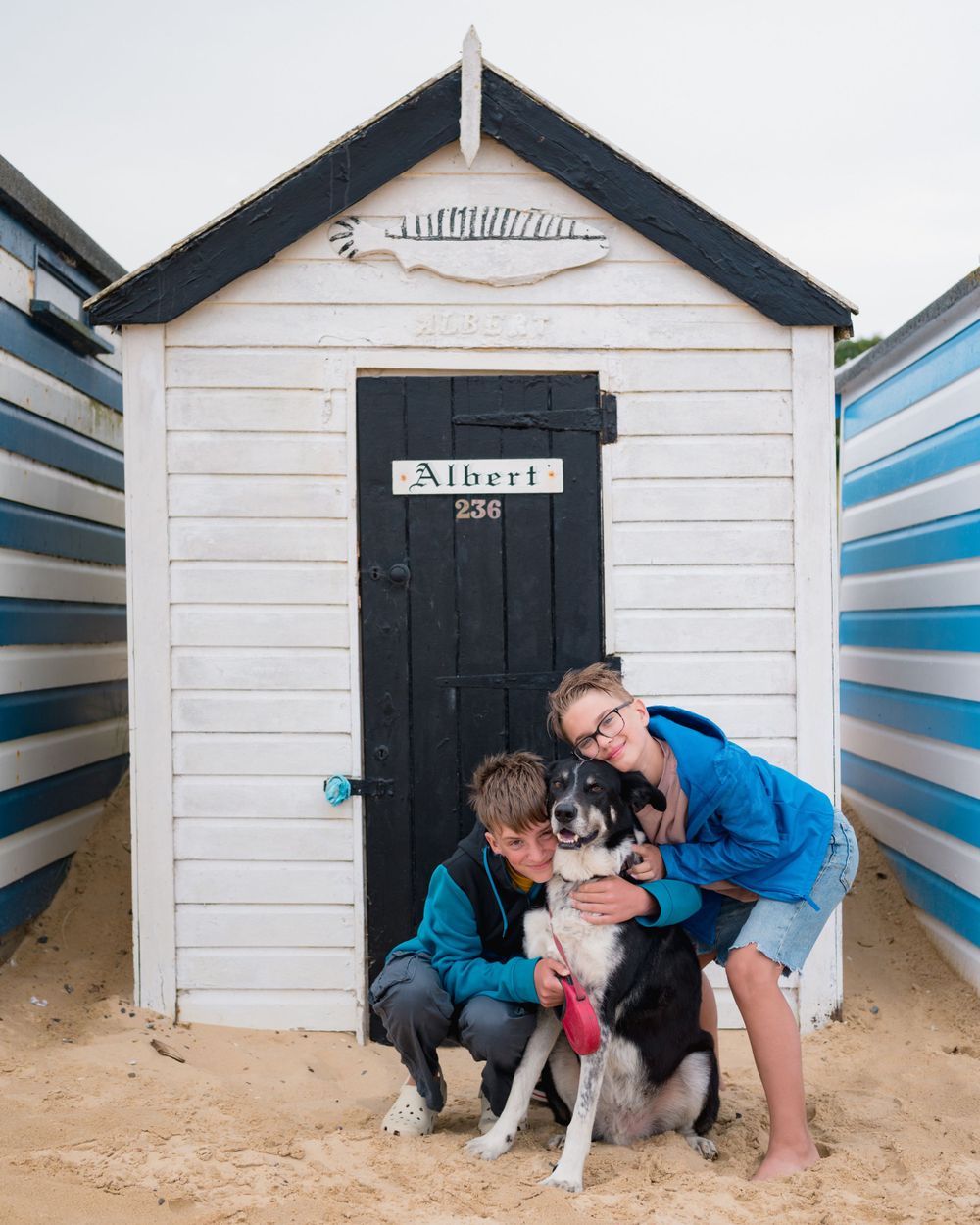 A sequence of photos showing people and a dog playing together near a white beach hut with a black door on sandy ground.