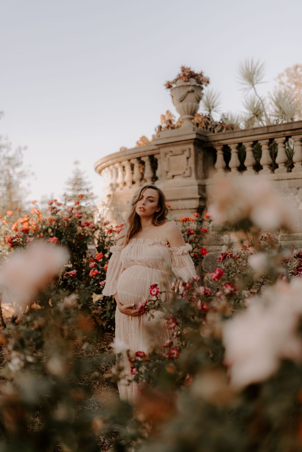 Elegant garden photoshoot with red roses and stone balustrade in golden hour light.
