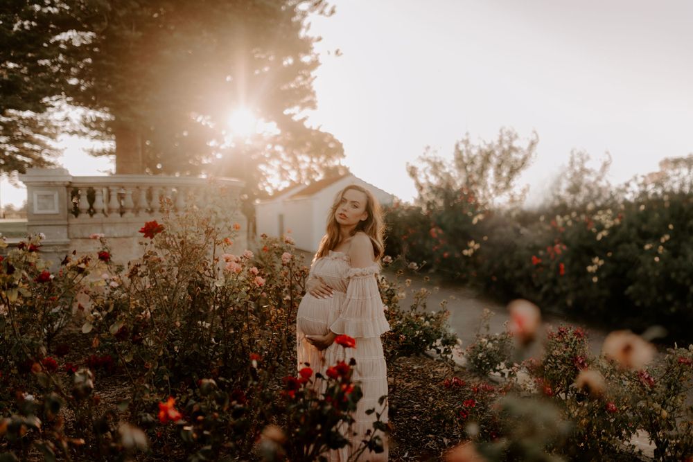 Scenic outdoor photography with blooming rose garden and architectural elements.