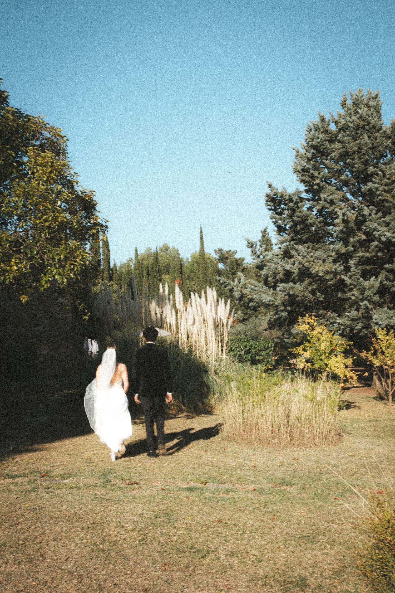 A couple walks along an outdoor garden path with pampas grass and trees on a sunny day.