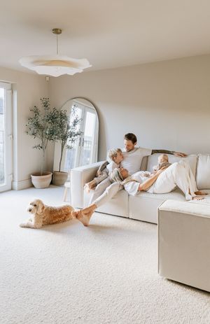 A family lounges together on a white couch with their golden retriever in a bright, minimalist living room.